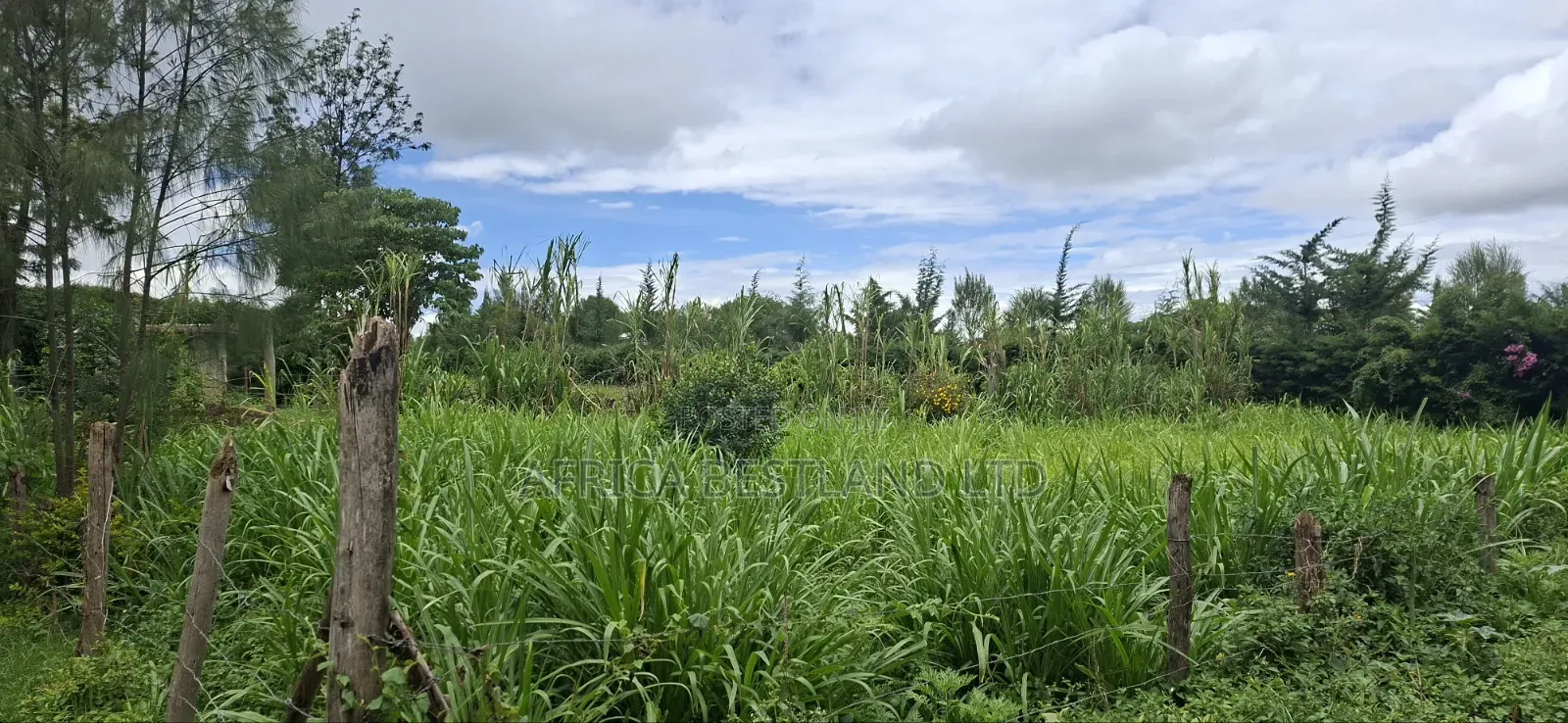 Prime 50x100 Plot for Sale in Naivasha Kinamba