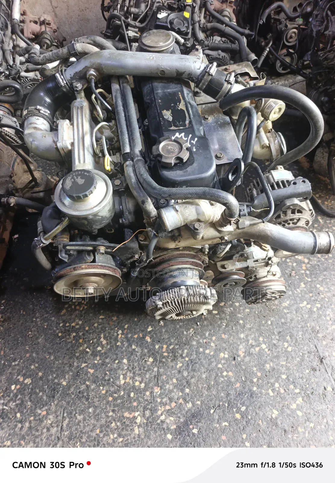 Nissan Caravan /Hardbody/Navara