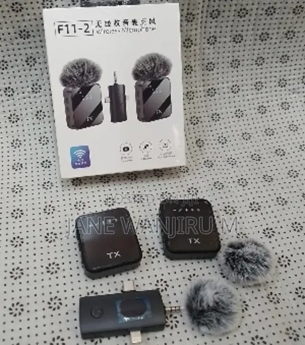 Quality F11-2 Wireless Microphone