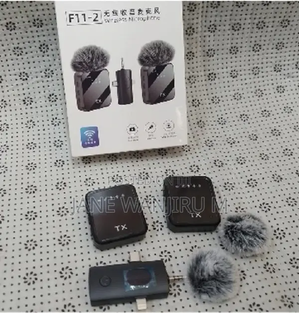 Affordable F11-2 Wireless Microphone