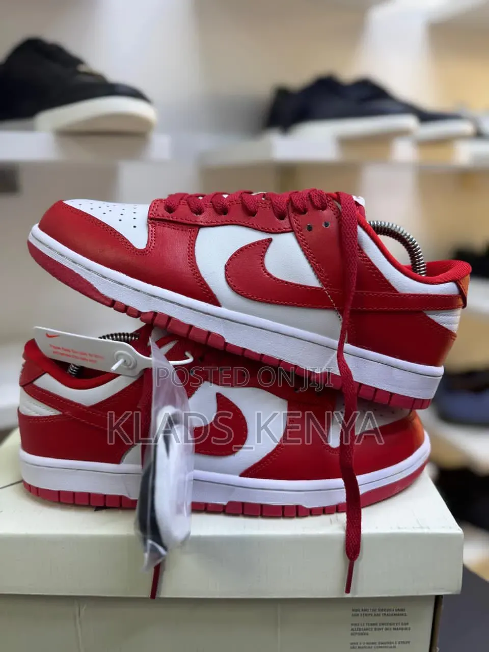 Sb Nike Dunks