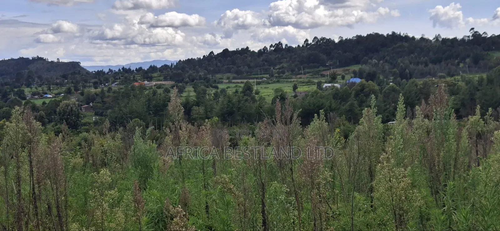 1 Acre Prime Land for Sale – Cokereria, Gilgil (Nakuru Count