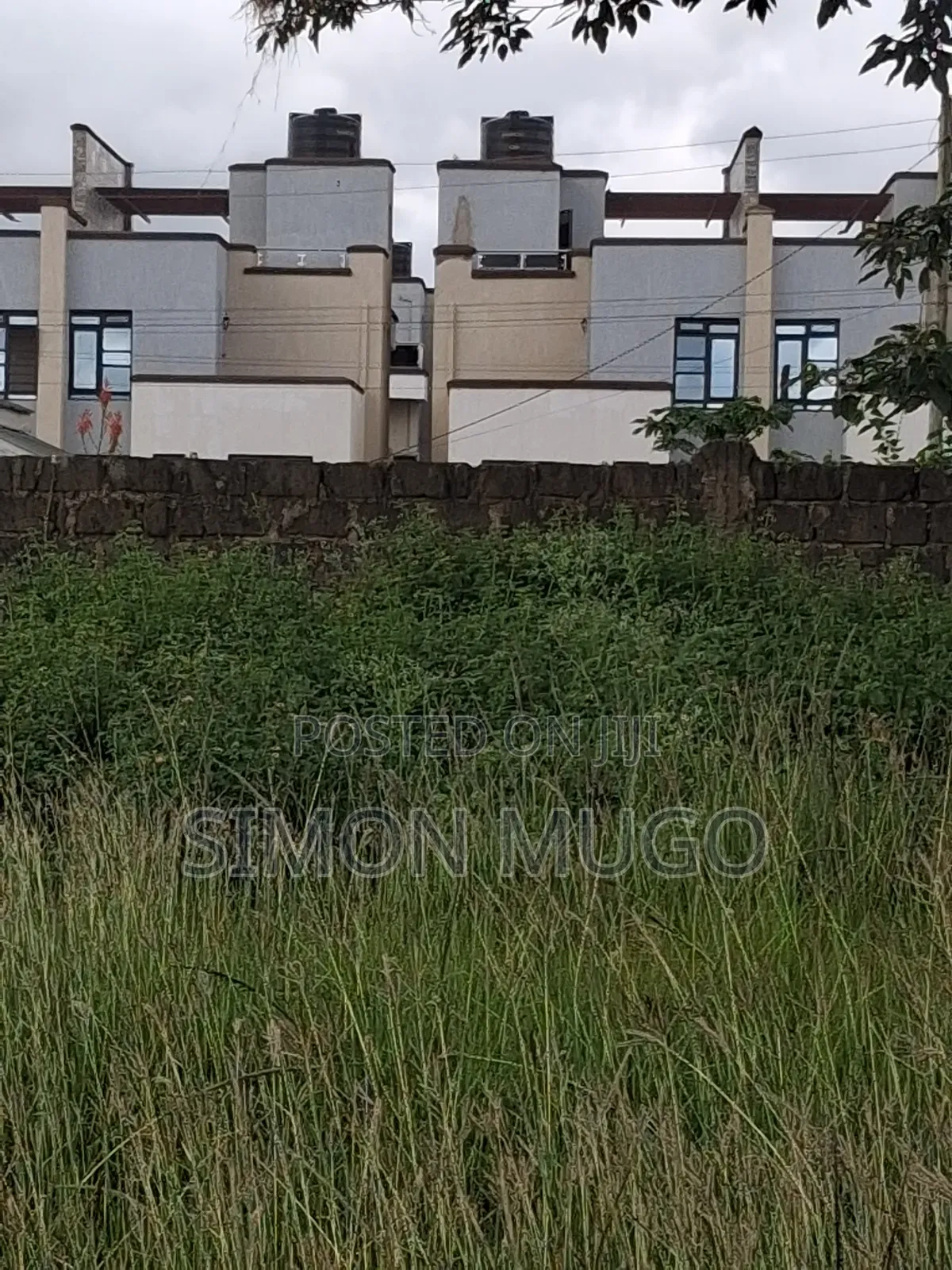Ruiru Kamakis Gatongora 2 Prime 50x100 Quick Sale 3.8 M Freehold Title