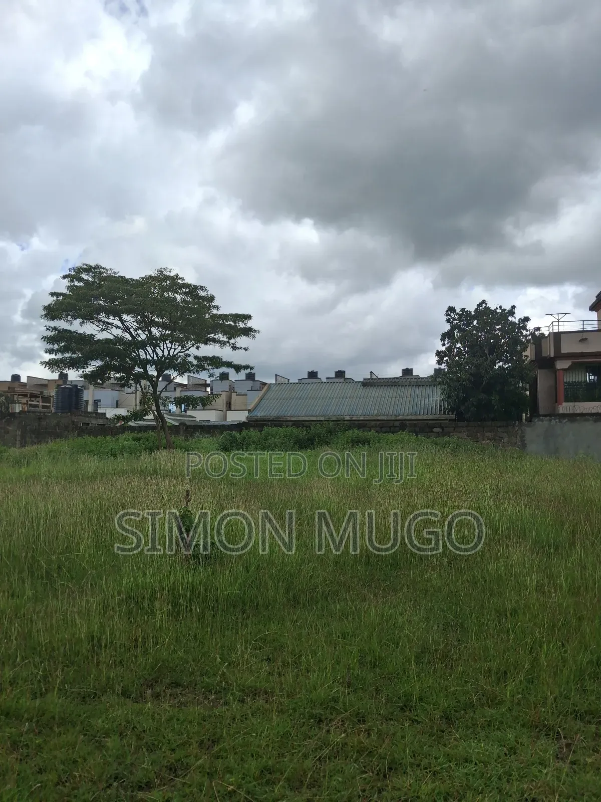 Ruiru Kamakis Gatongora 2 Prime 50x100 Quick Sale 3.8 M Freehold Title