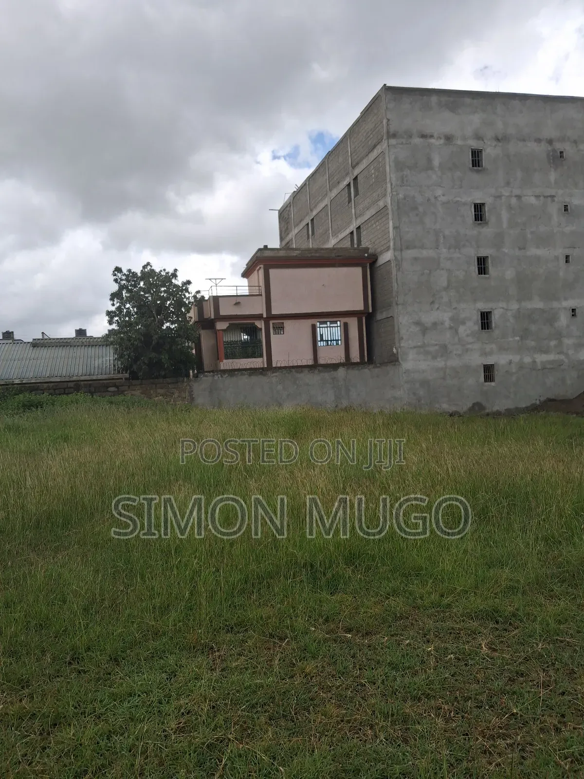 Ruiru Kamakis Gatongora 2 Prime 50x100 Quick Sale 3.8 M Freehold Title
