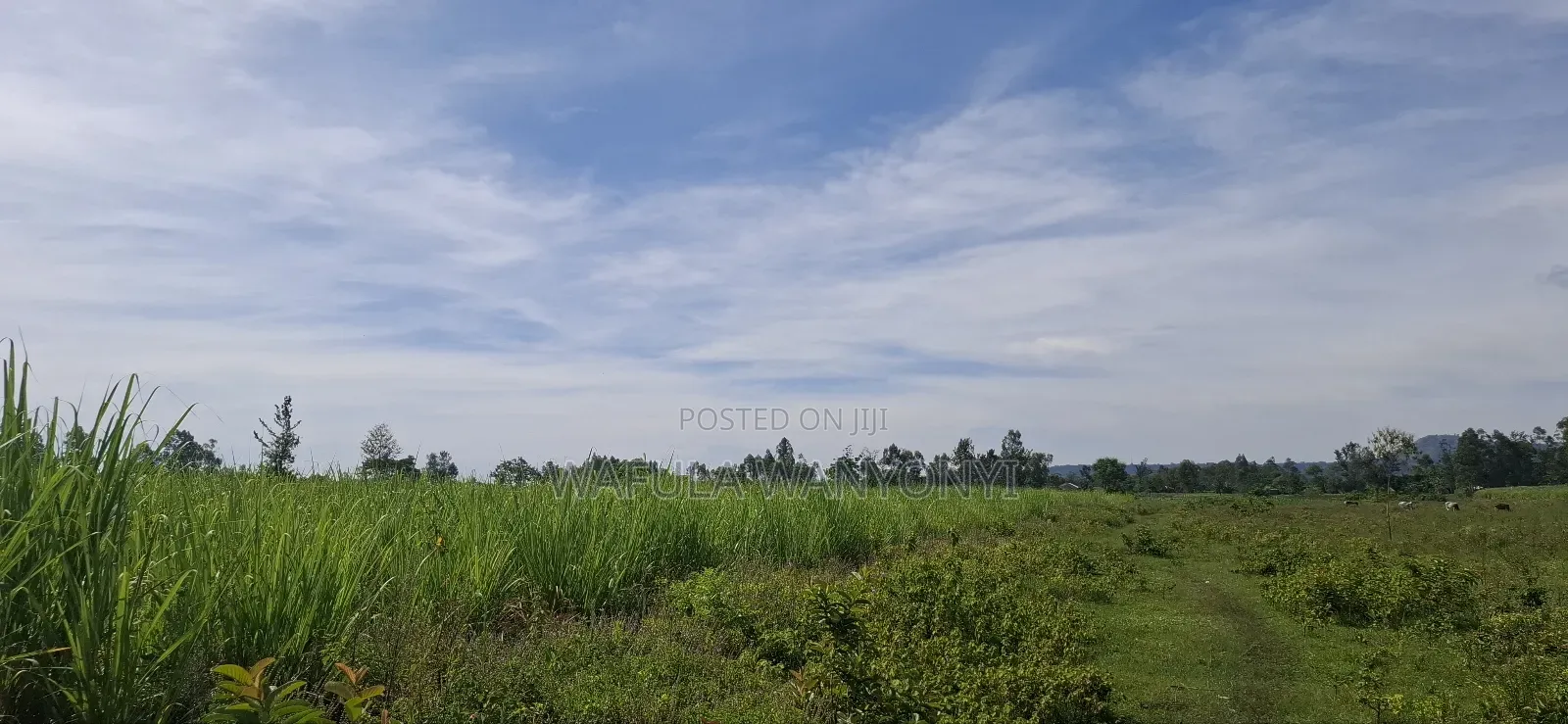 4 Acres Kamolo After Malaba