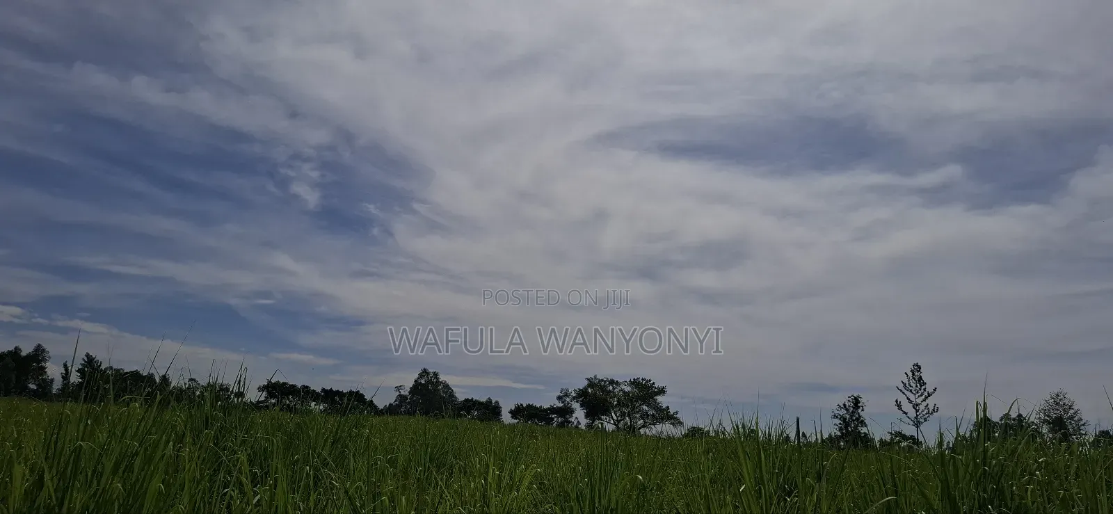 4 Acres Kamolo After Malaba