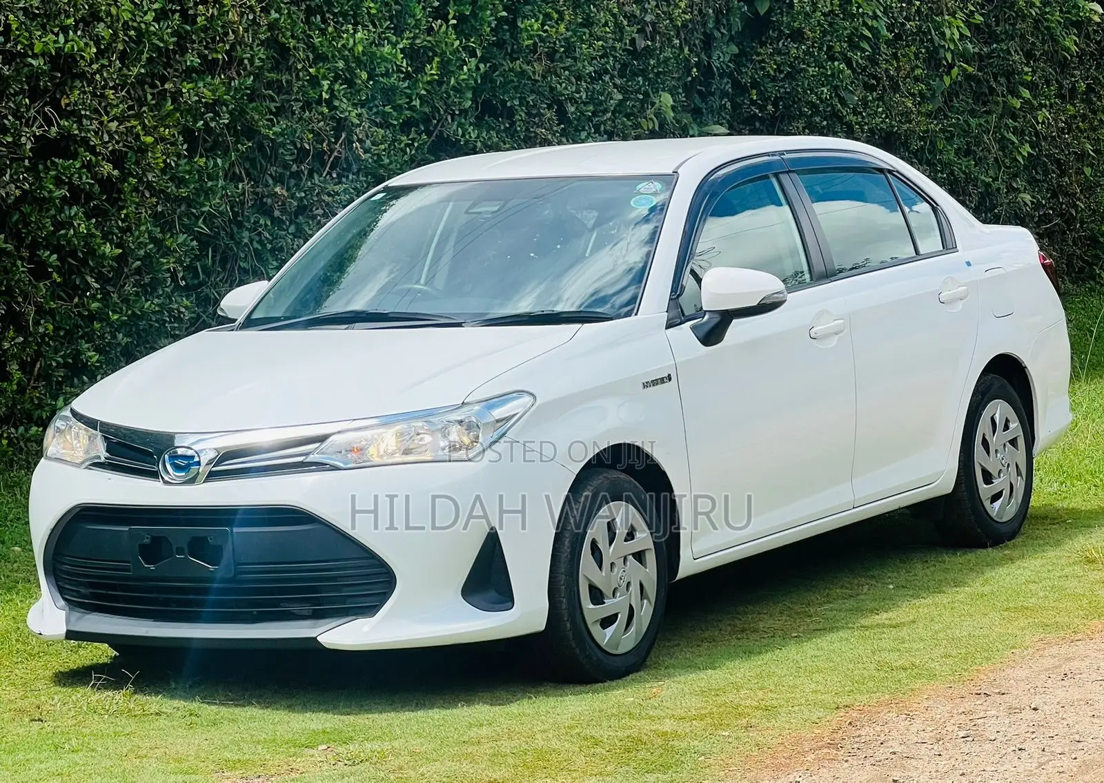 Toyota Axio 2019 White