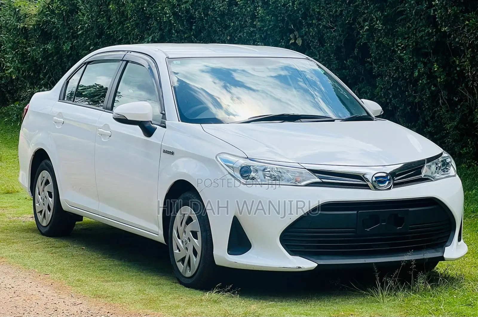 Toyota Axio 2019 White
