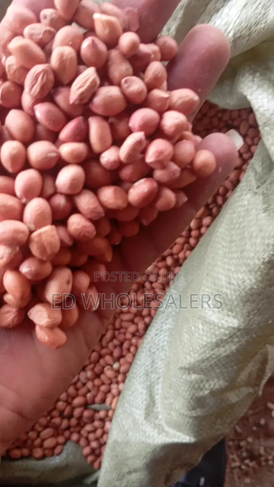 White Round Groundnuts/ Njugu