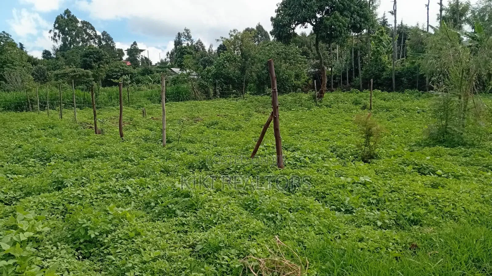 Kikuyu Plots for Sale (Kerwa)