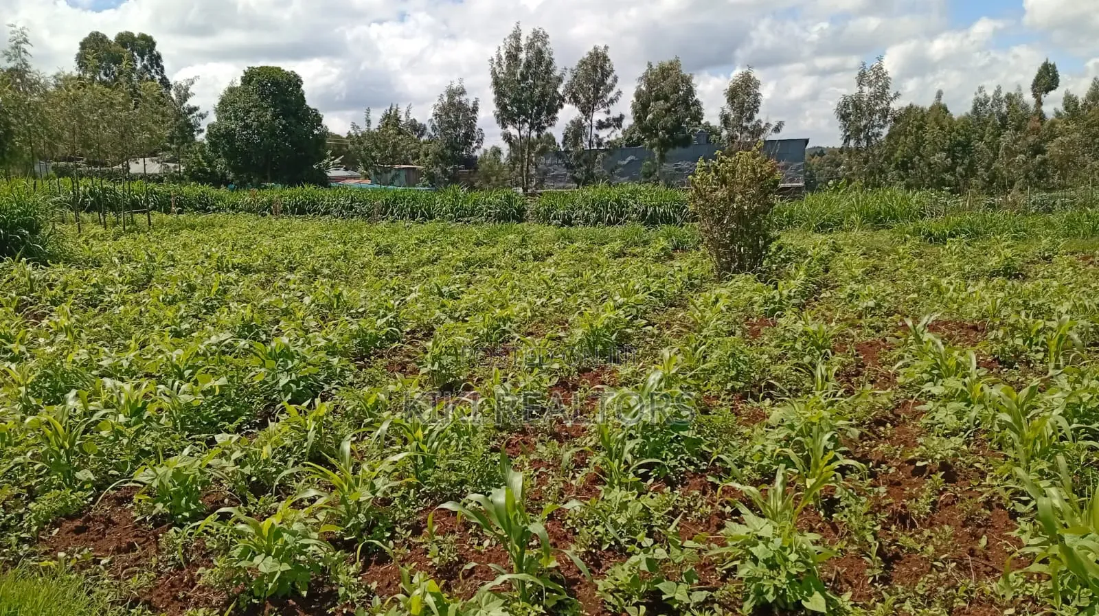 Kikuyu Plots for Sale (Kerwa)