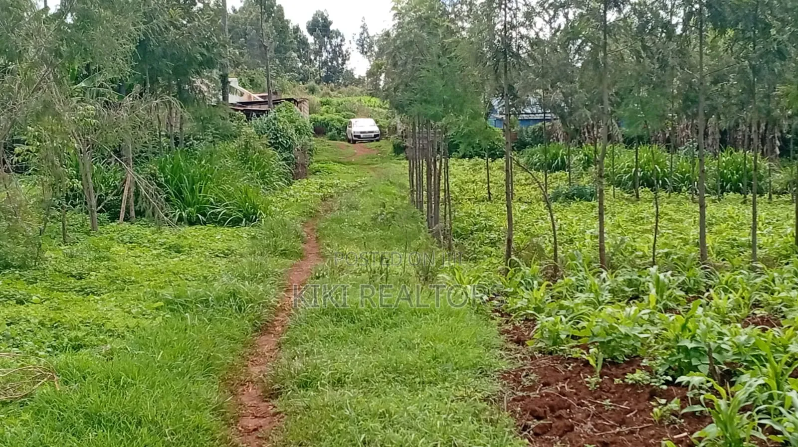 Kikuyu Plots for Sale (Kerwa)