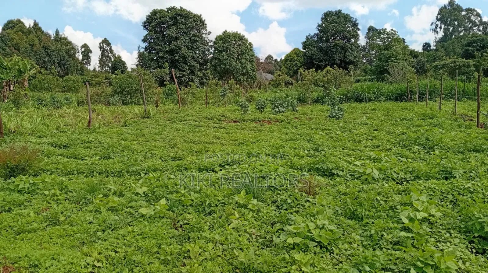 Kikuyu Plots for Sale (Kerwa)