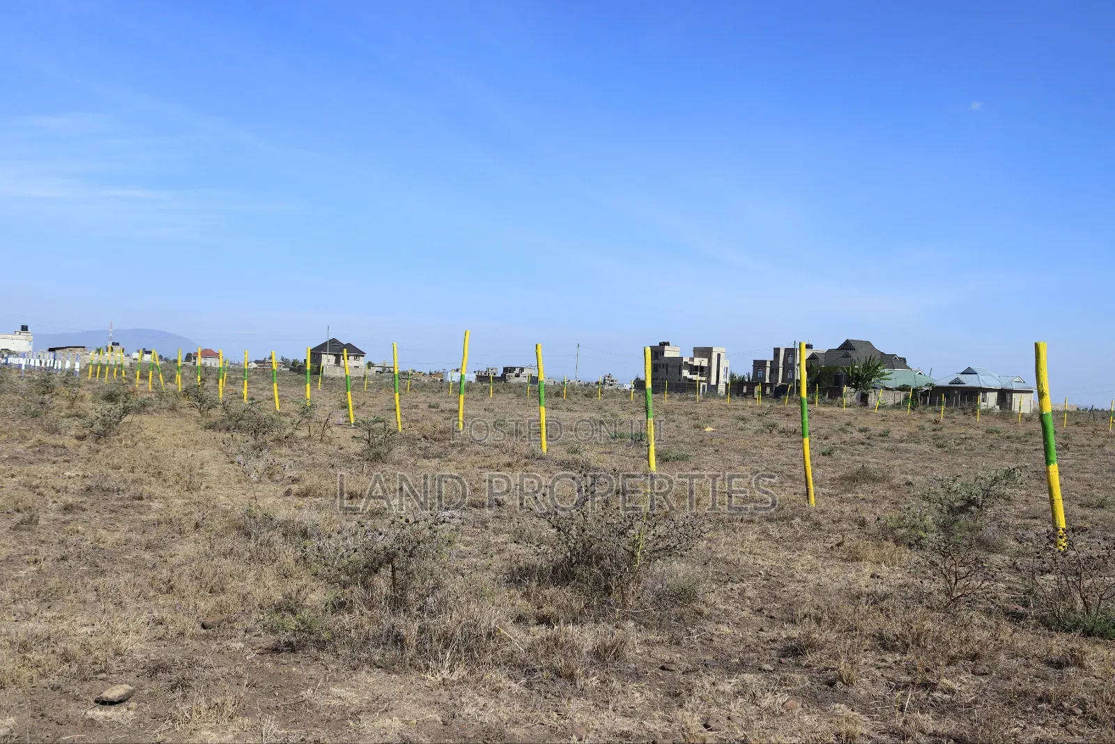 Ruiru Kamakis Plots for Sale Near Eastern Bypass With Ready Title Deed