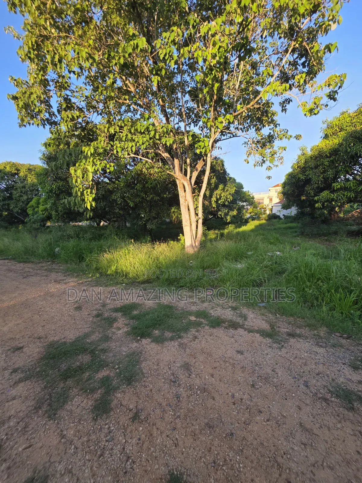 50 by 100 Plots in Mombasa Kikambala for Sale in a Gated Community