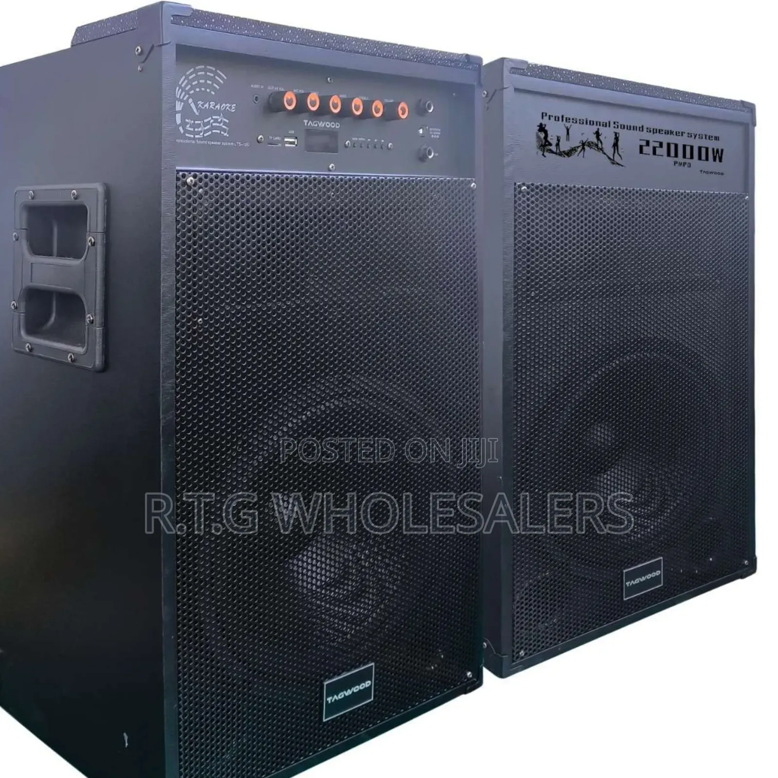 Tagwood 12d (Lts-12d) Portable Dual Speaker System