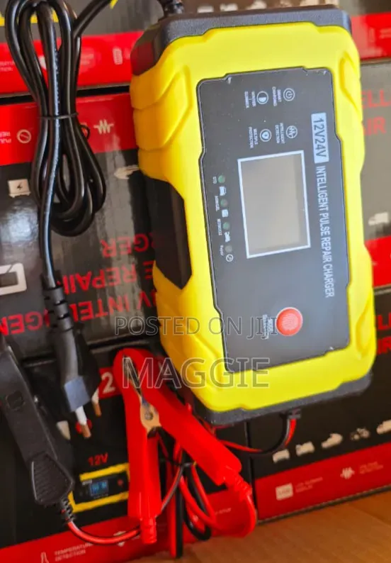 Intelligent Battery Charger 12/24v