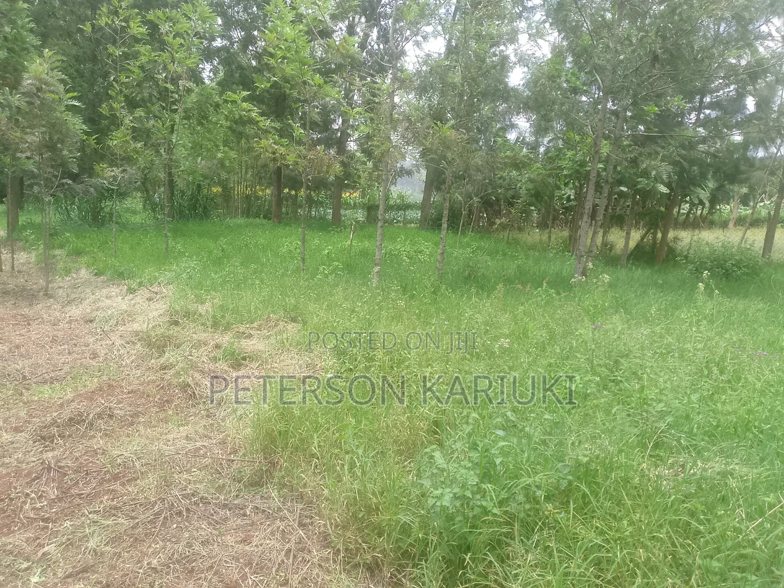 Kibiko Kihbt:1.2 Acres on Sale