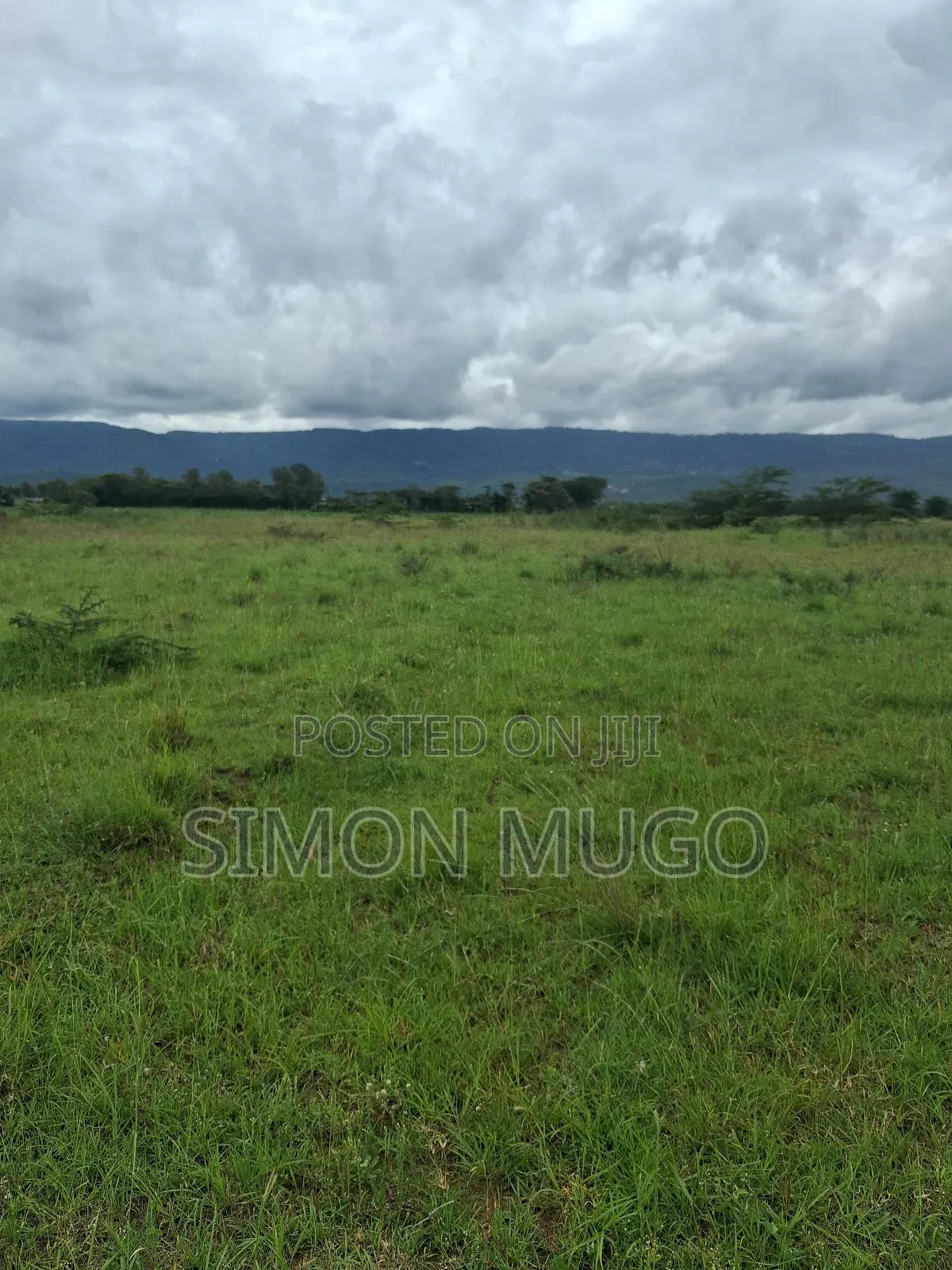 Maai-Mahiu Prime 5 Acres Near Governors Senior School Freehold Title