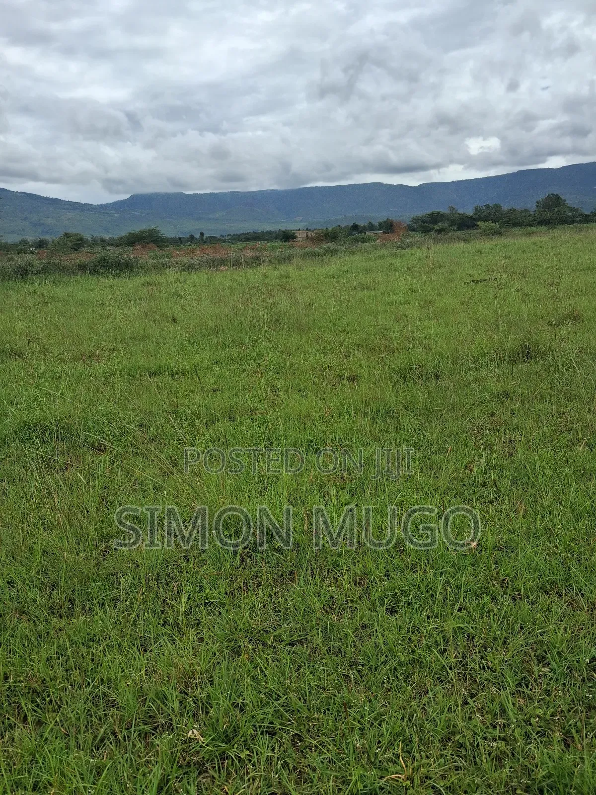 Maai-Mahiu Prime 5 Acres Near Governors Senior School Freehold Title