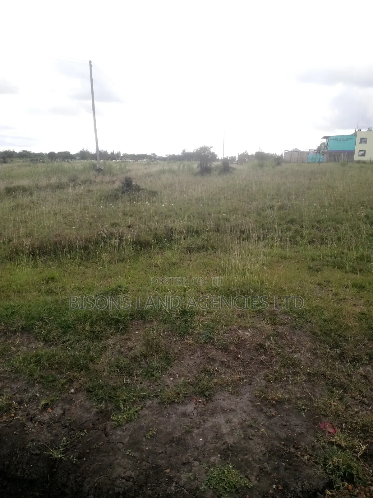 Available One Acre Land for Sale