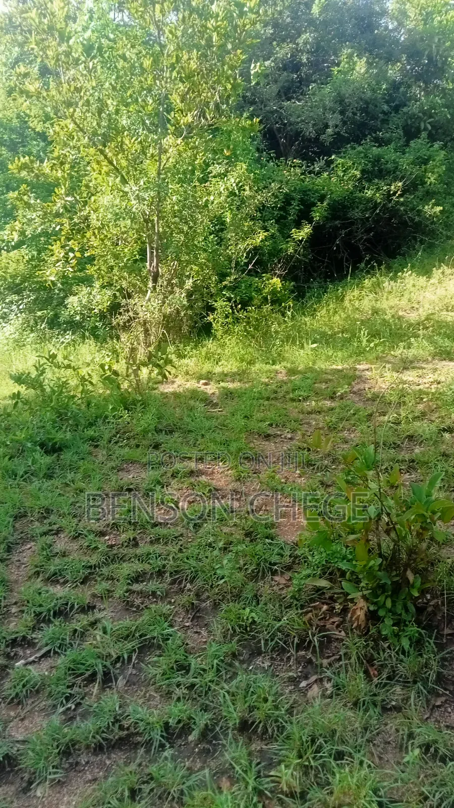 1.5acre Land for Sale St Maragua Ridge