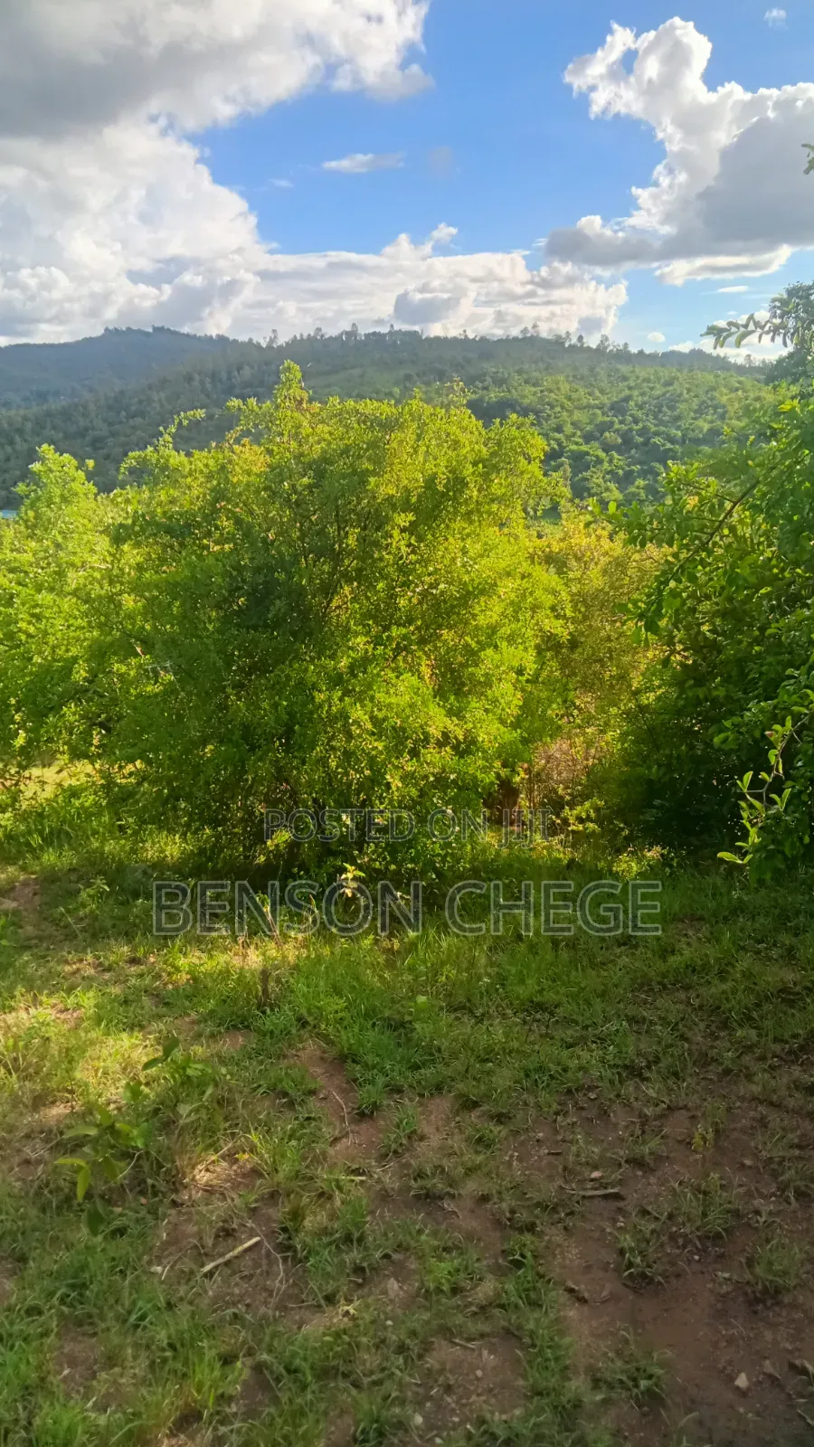 1.5acre Land for Sale St Maragua Ridge