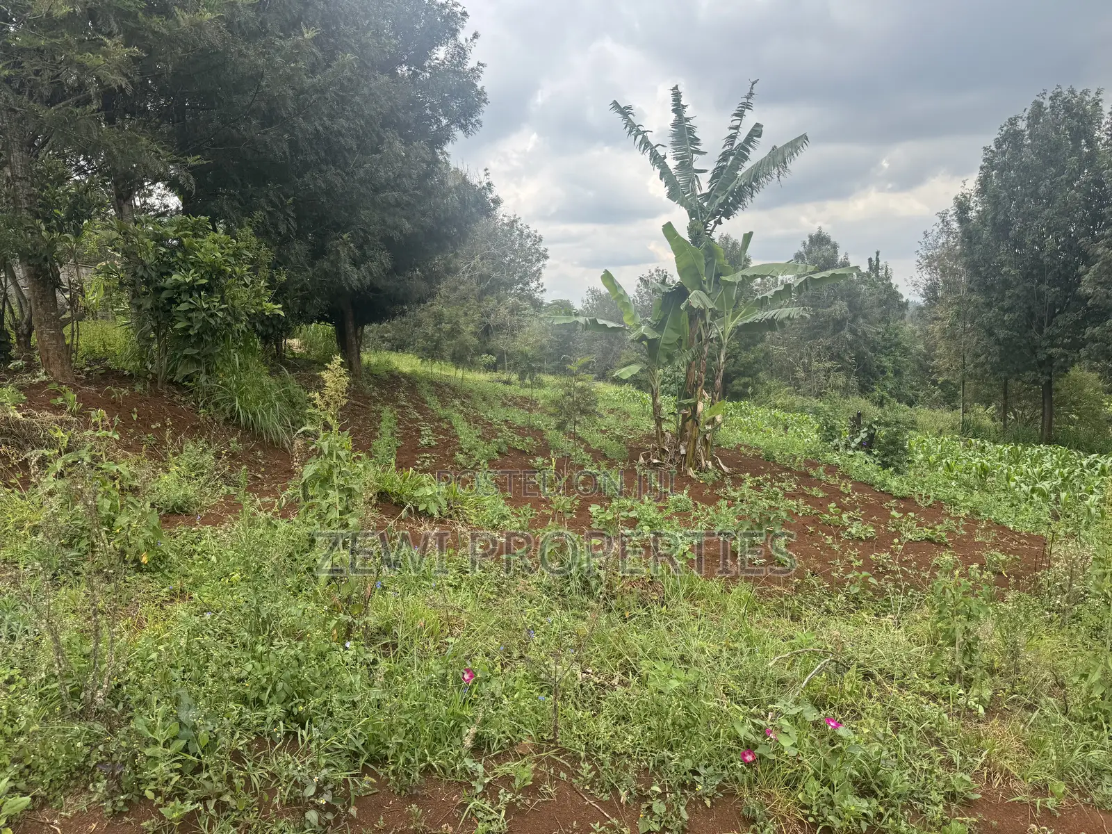 1/8 Acre Ngere Road Kibiku