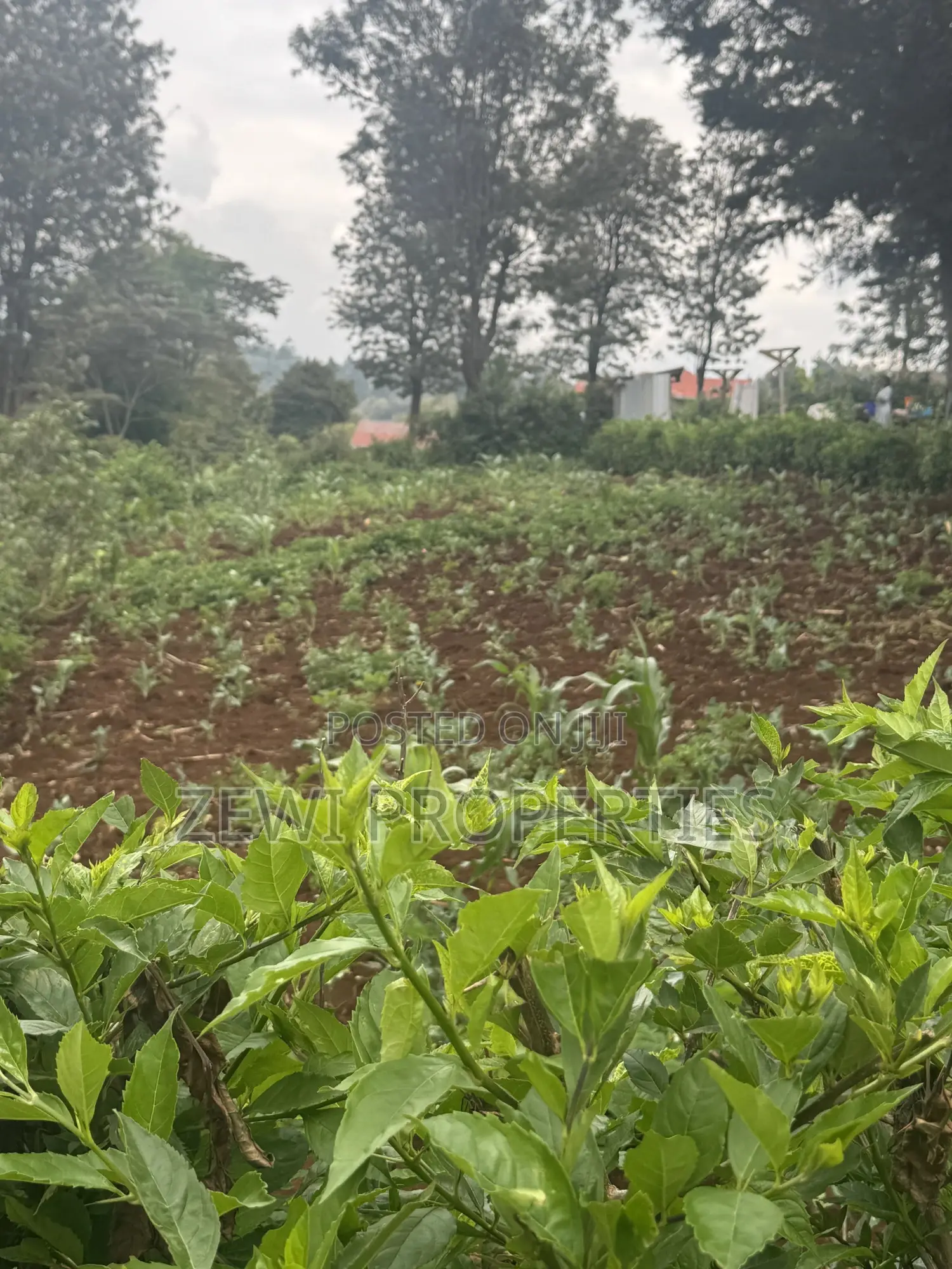 1/8 Acre Ngere Road Kibiku