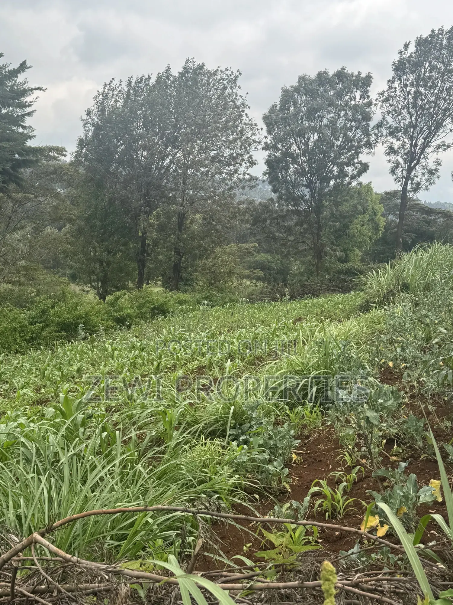 1/8 Acre Ngere Road Kibiku