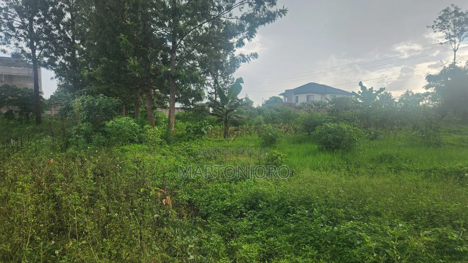 1/4 Acre in Croton Ridge Kenyatta Road