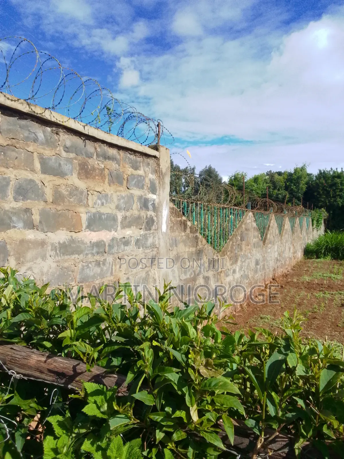 Mixed Farm, Ngarariga