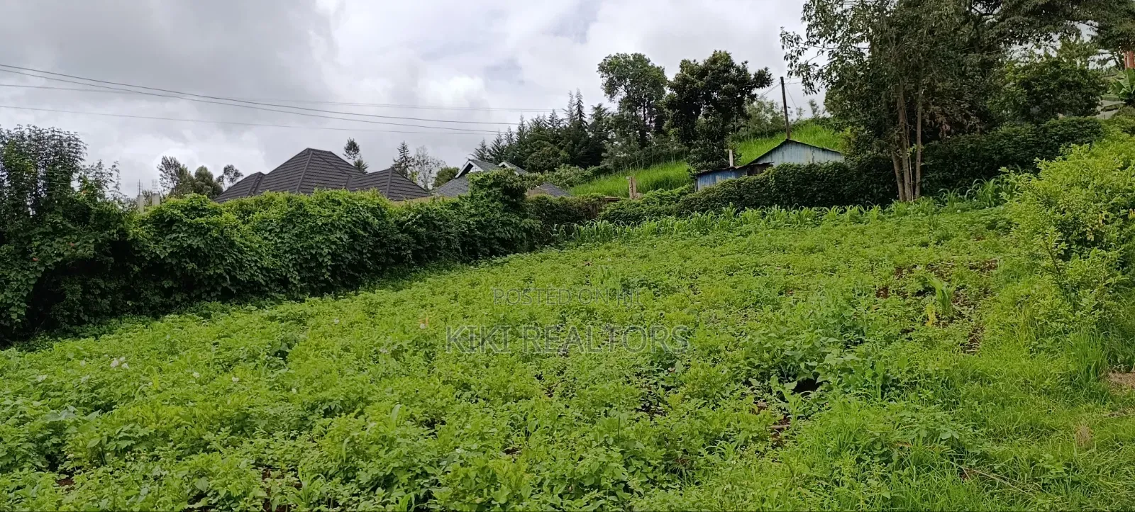Kikuyu Sigona Plots for Sale