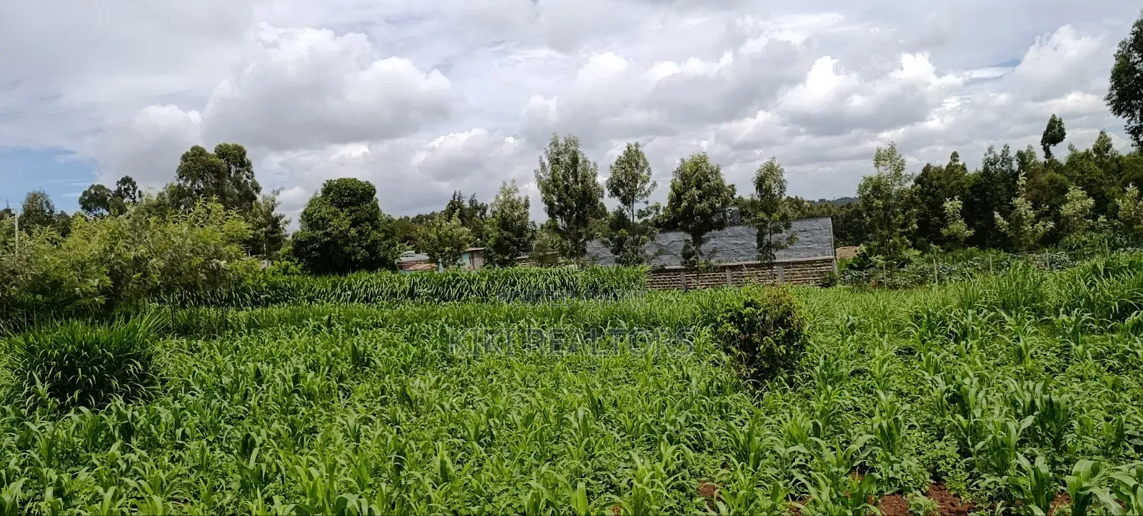 Kikuyu Prime Plots in Kikuyu Kerwa