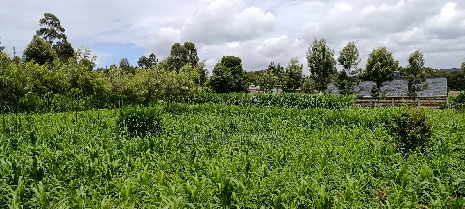 Kikuyu Prime Plots in Kikuyu Kerwa
