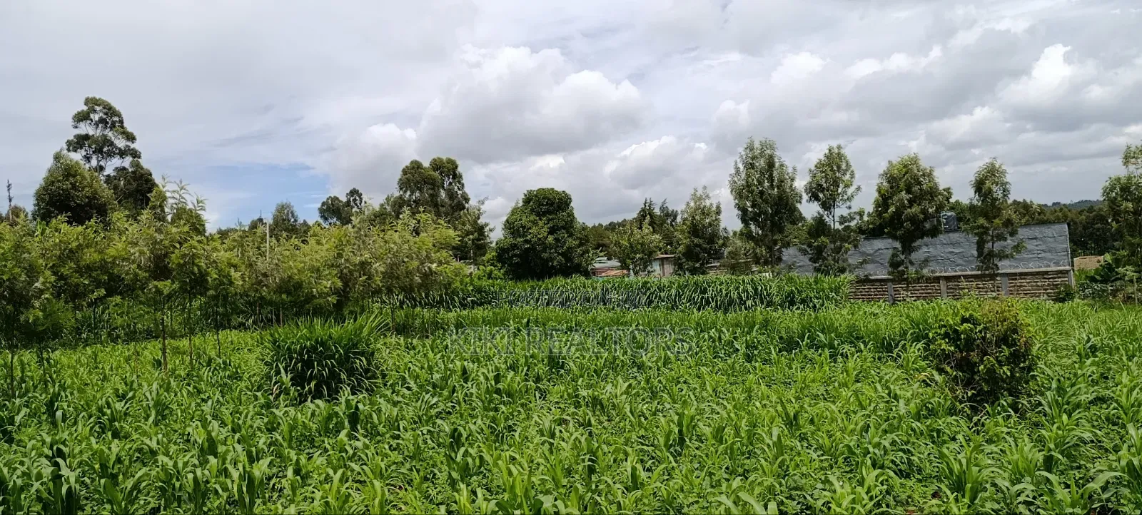 Kikuyu Prime Plots in Kikuyu Kerwa