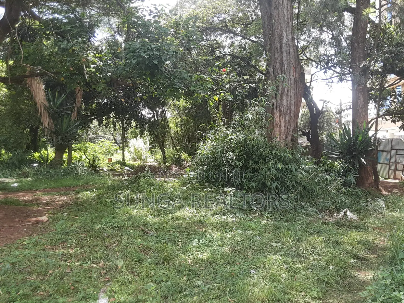 Commercial Property for Sale in Kilimani