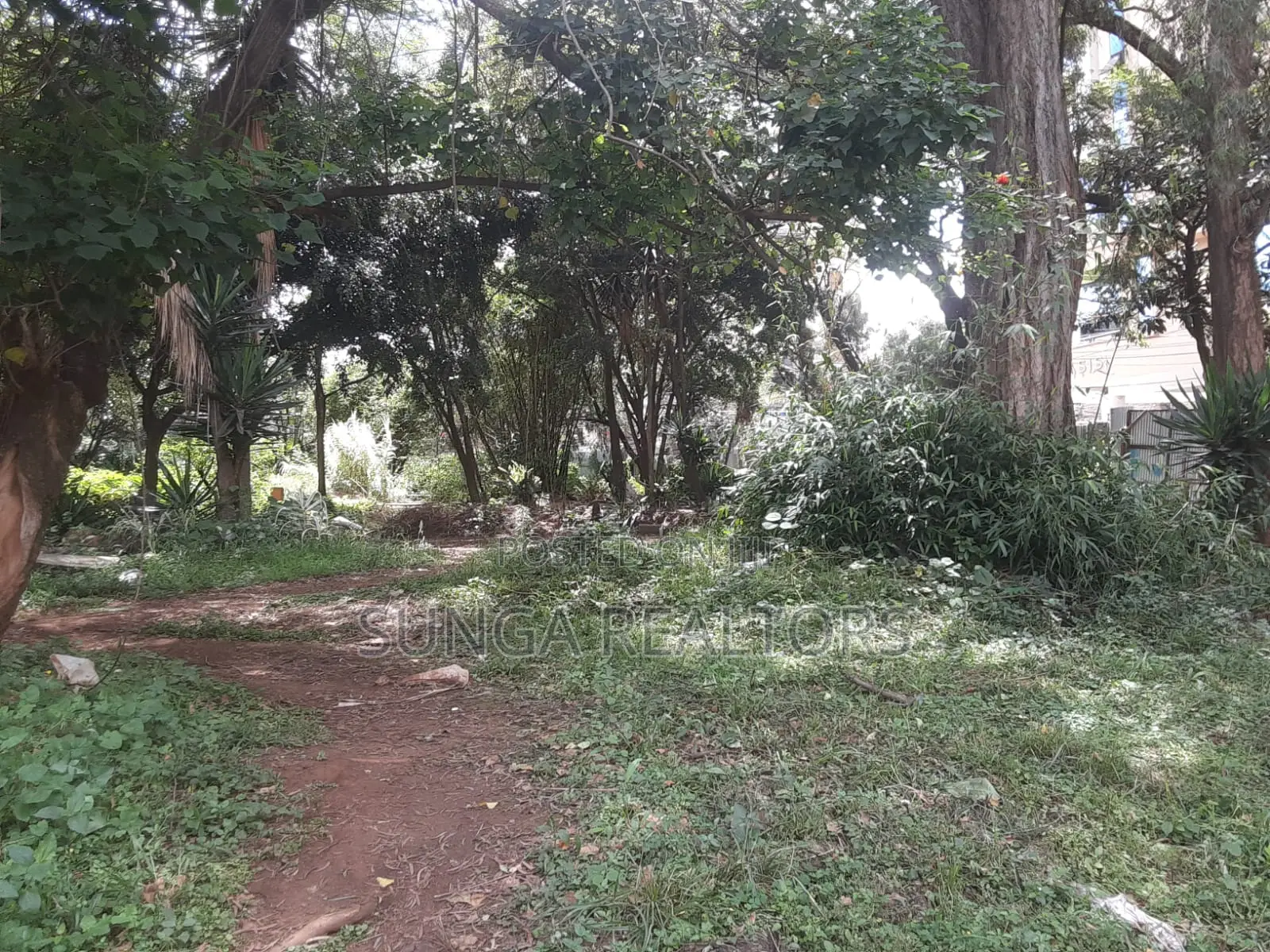 Commercial Property for Sale in Kilimani