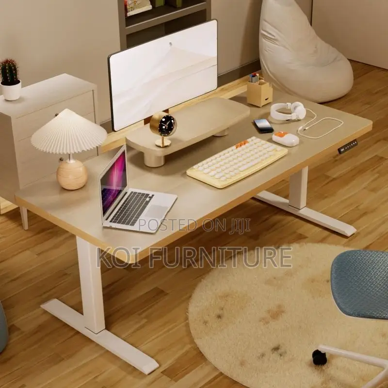 Office Desk; 1.6 Meters Home Office Ergonomic Design Adjustable Desk