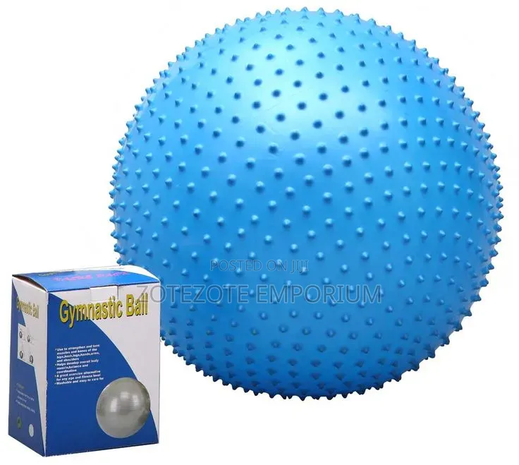 Yoga Ball/Gymnastics Ball