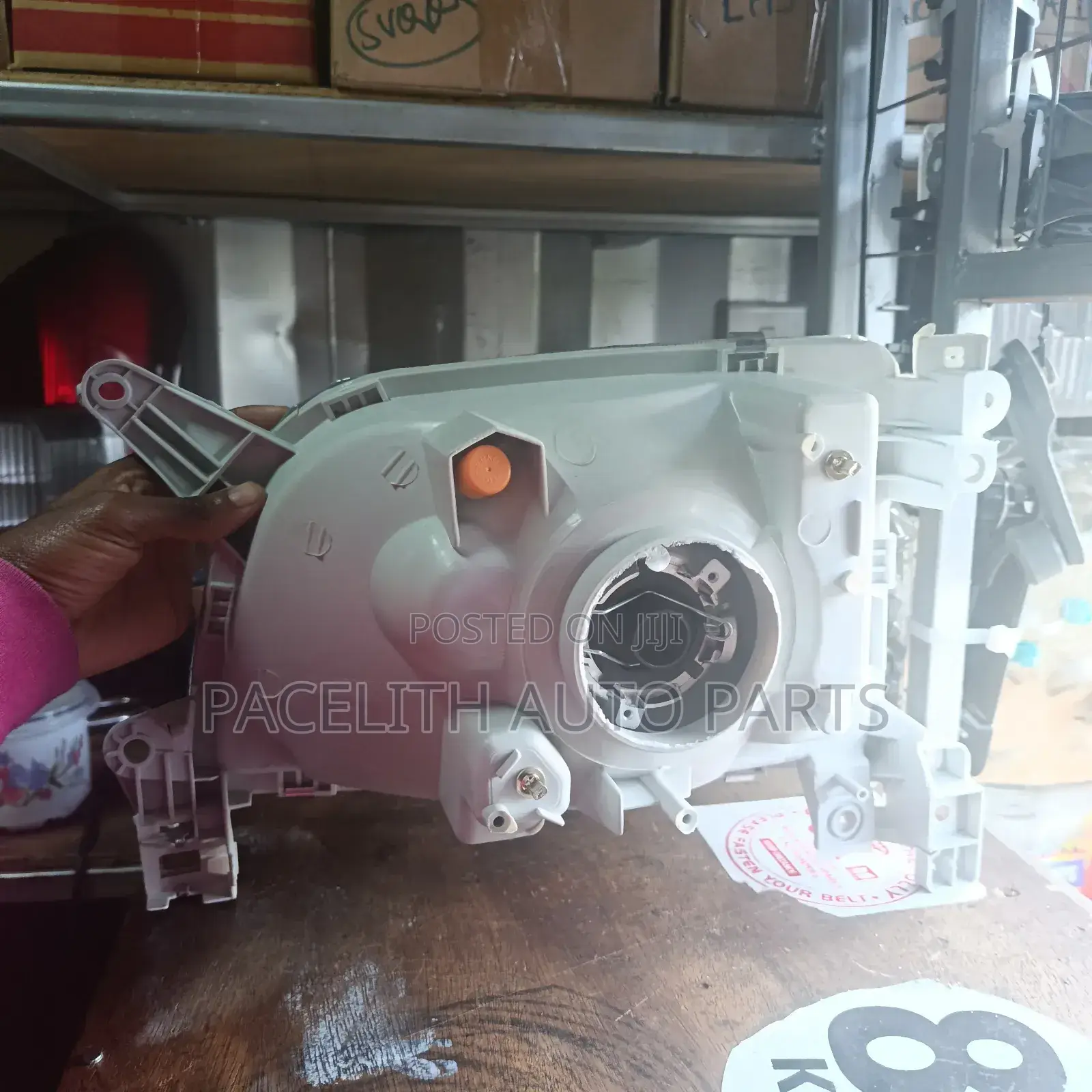 Head Lamp/ Head Light Shark /5l