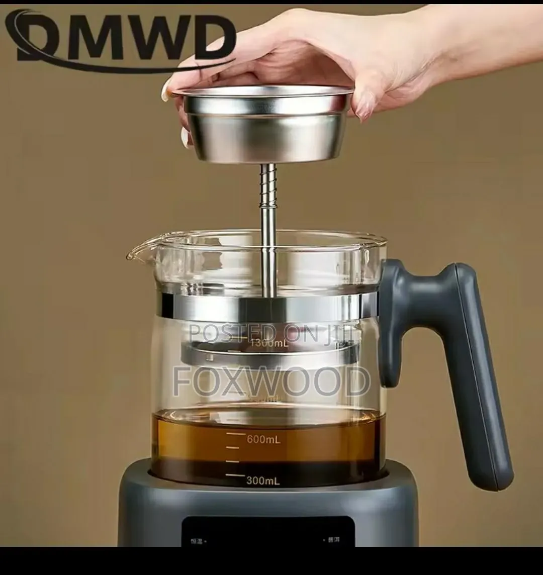 Multifunctional Electric Tea Kettle And Hot Water Pot,