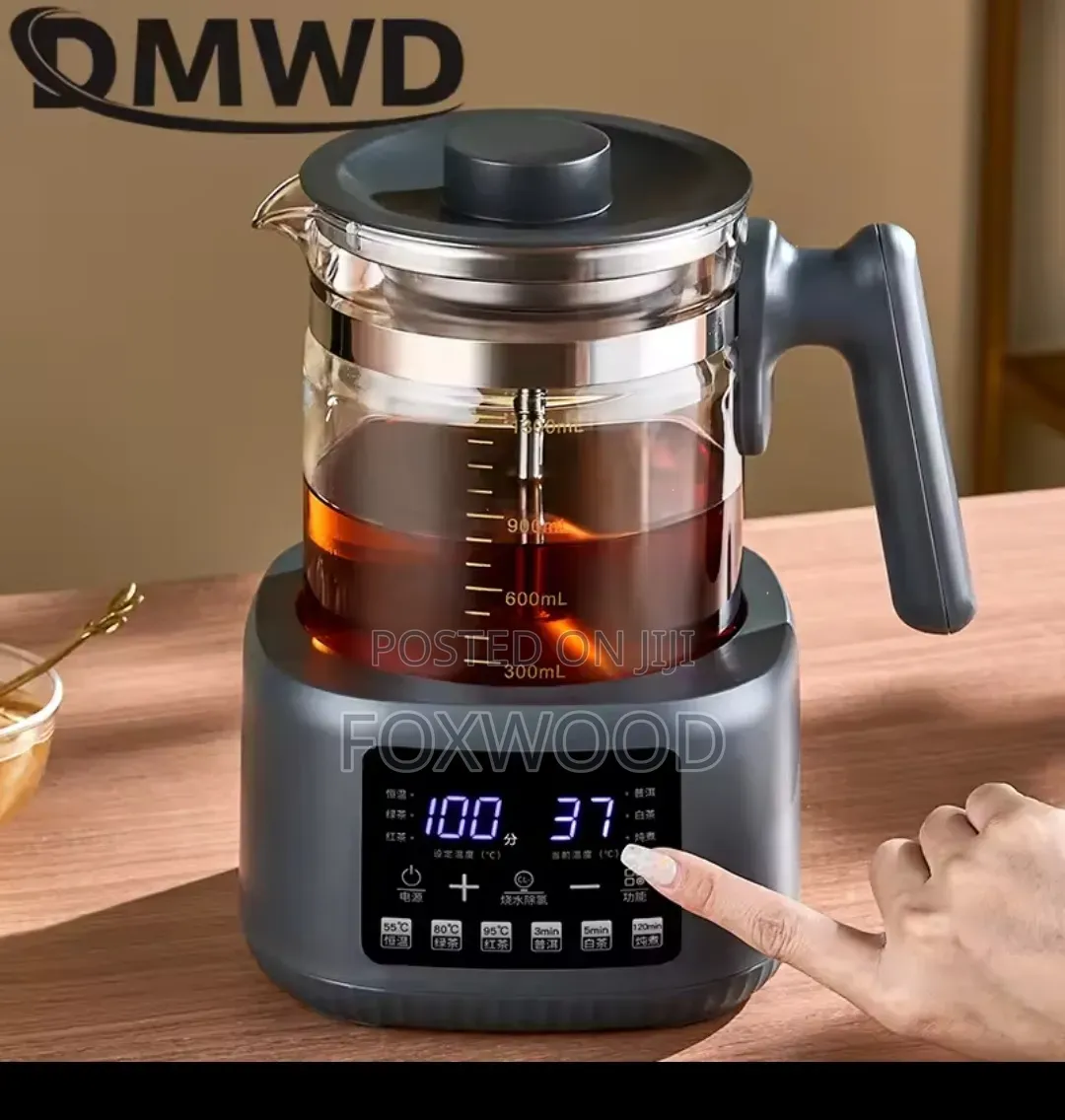 Multifunctional Electric Tea Kettle And Hot Water Pot,