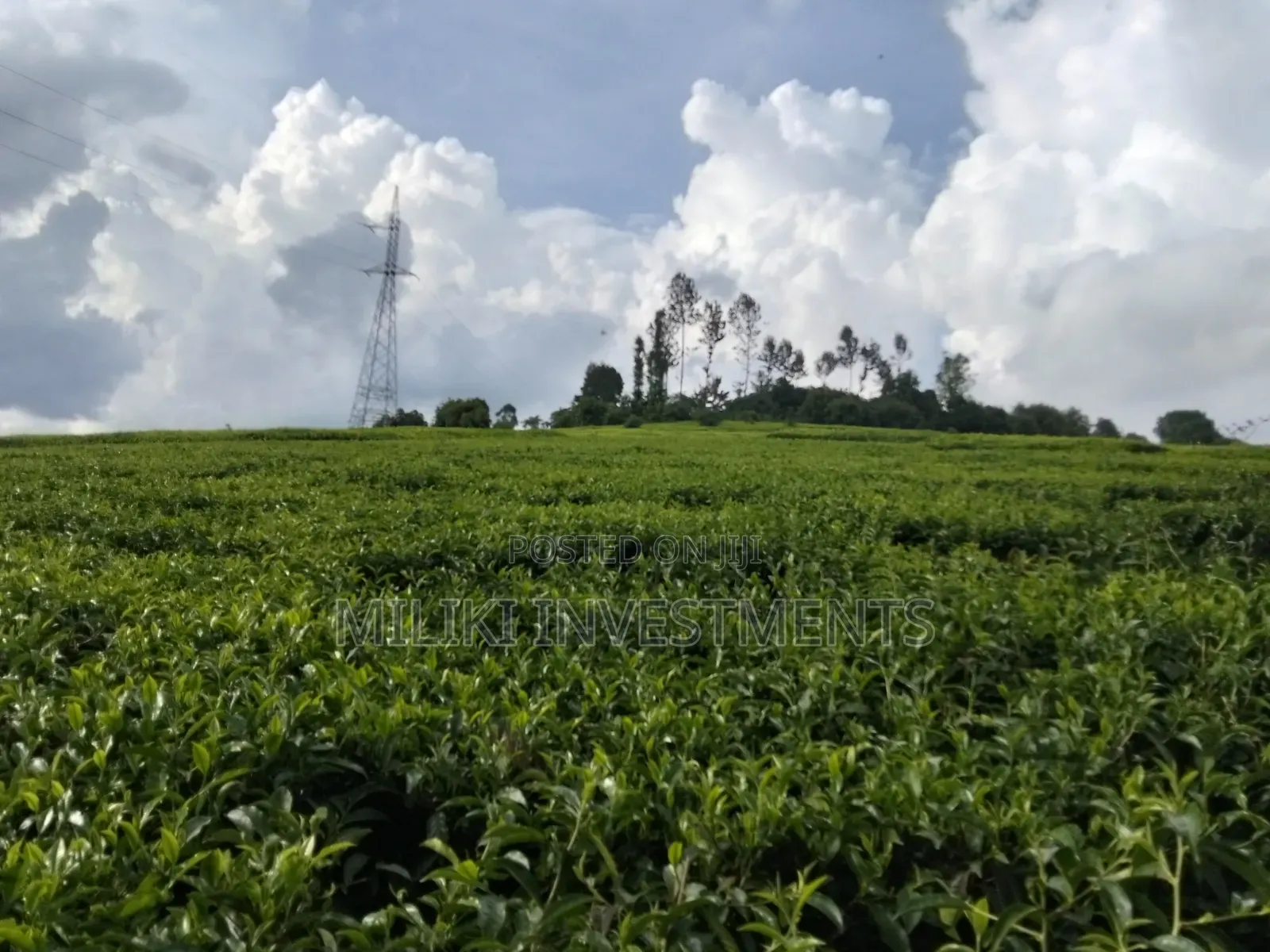 3 Acres on Sale at Kangari-Gituru