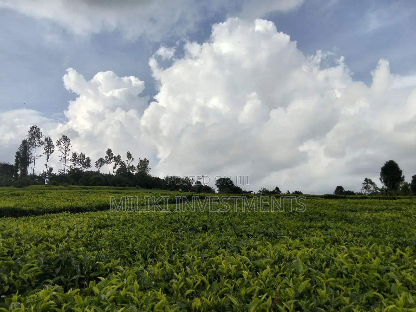 3 Acres on Sale at Kangari-Gituru
