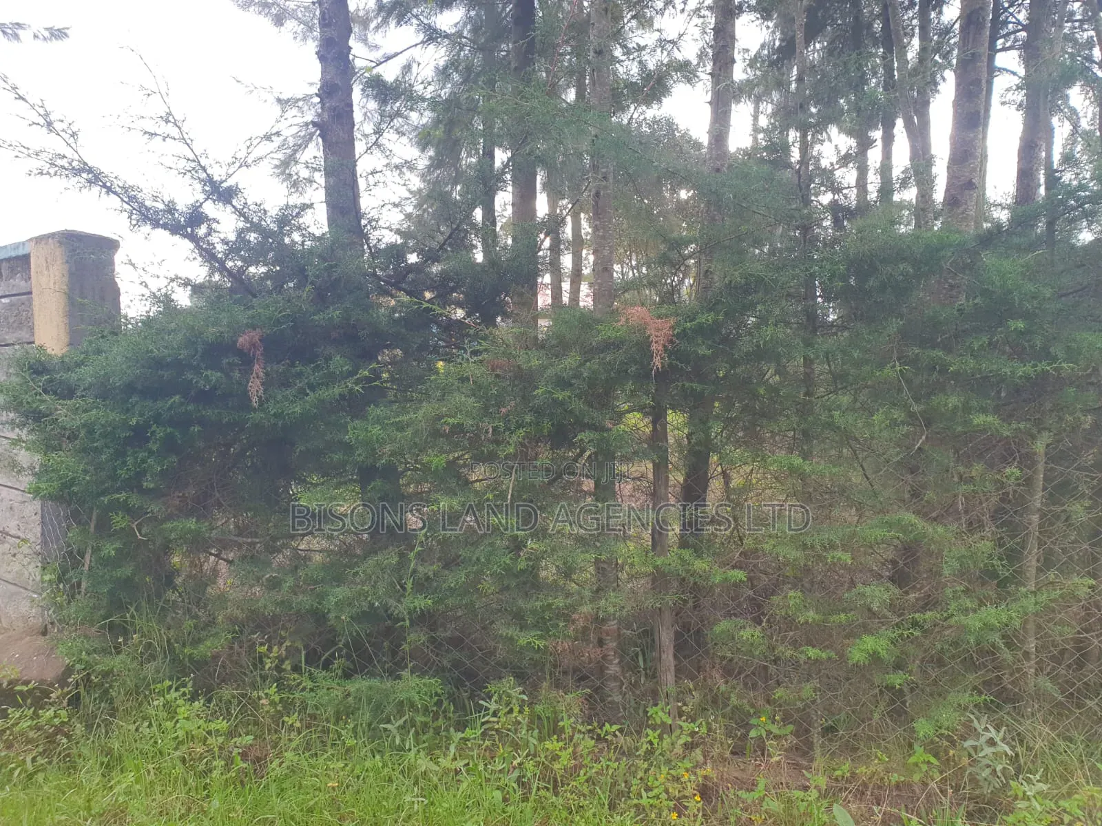 Available 2 Acre Land for Sale in Migori County