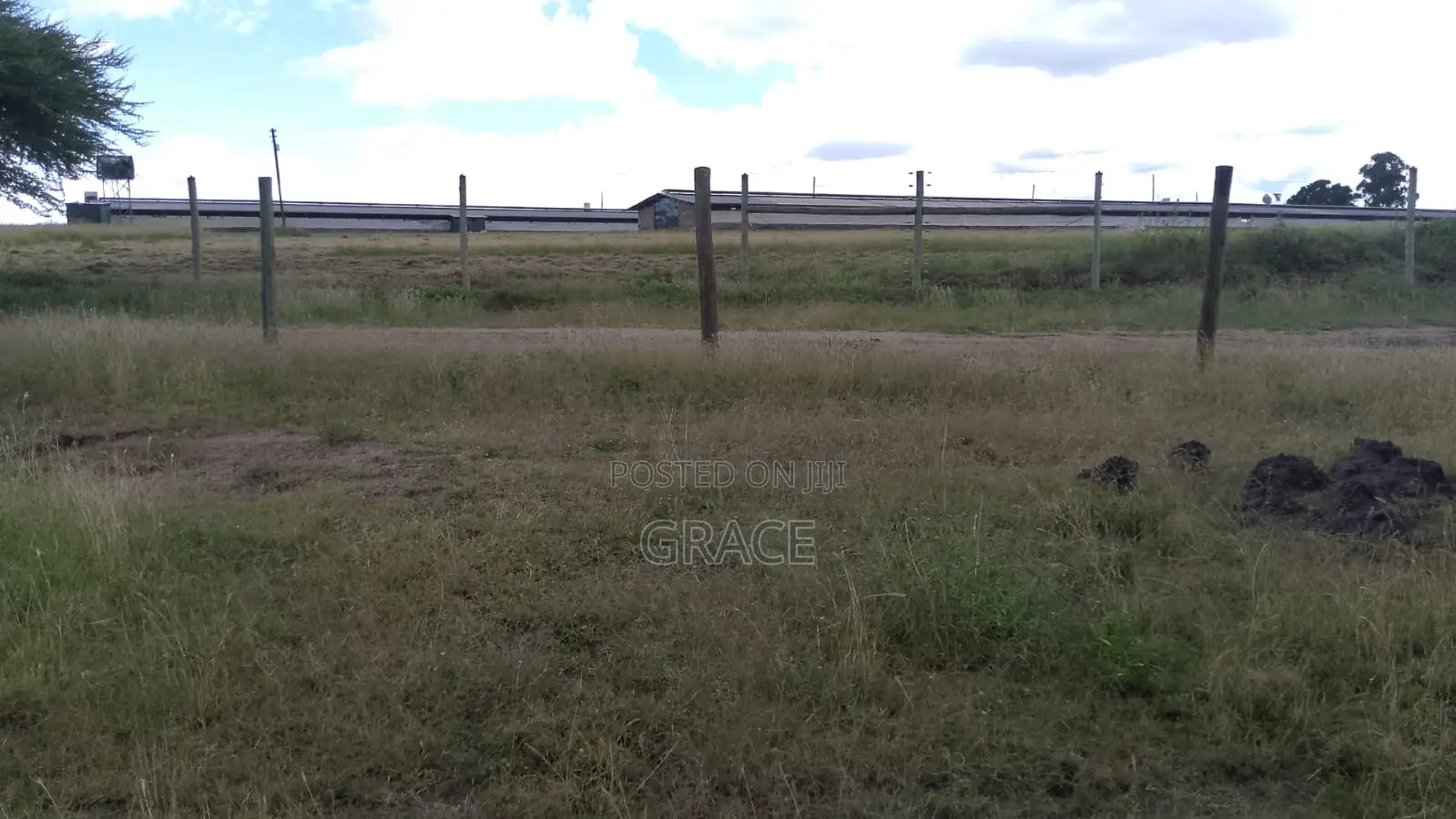 Isinya Highway Competitive Prime Plots