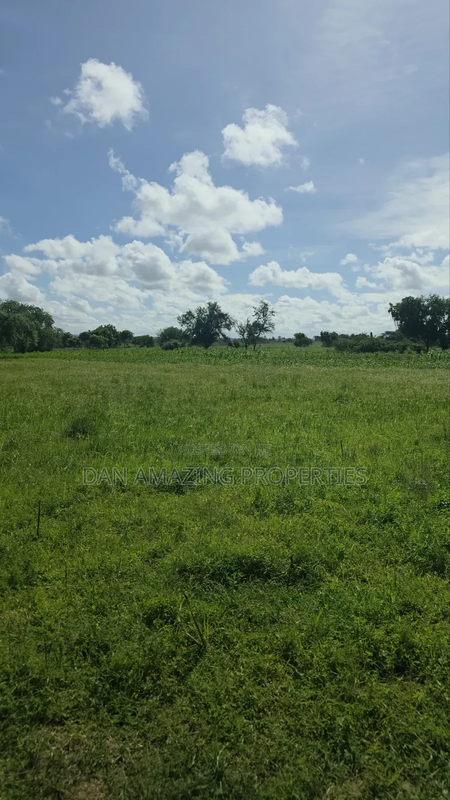 5 Acres in Kilifi Mandharini Rd for Sale as a Block