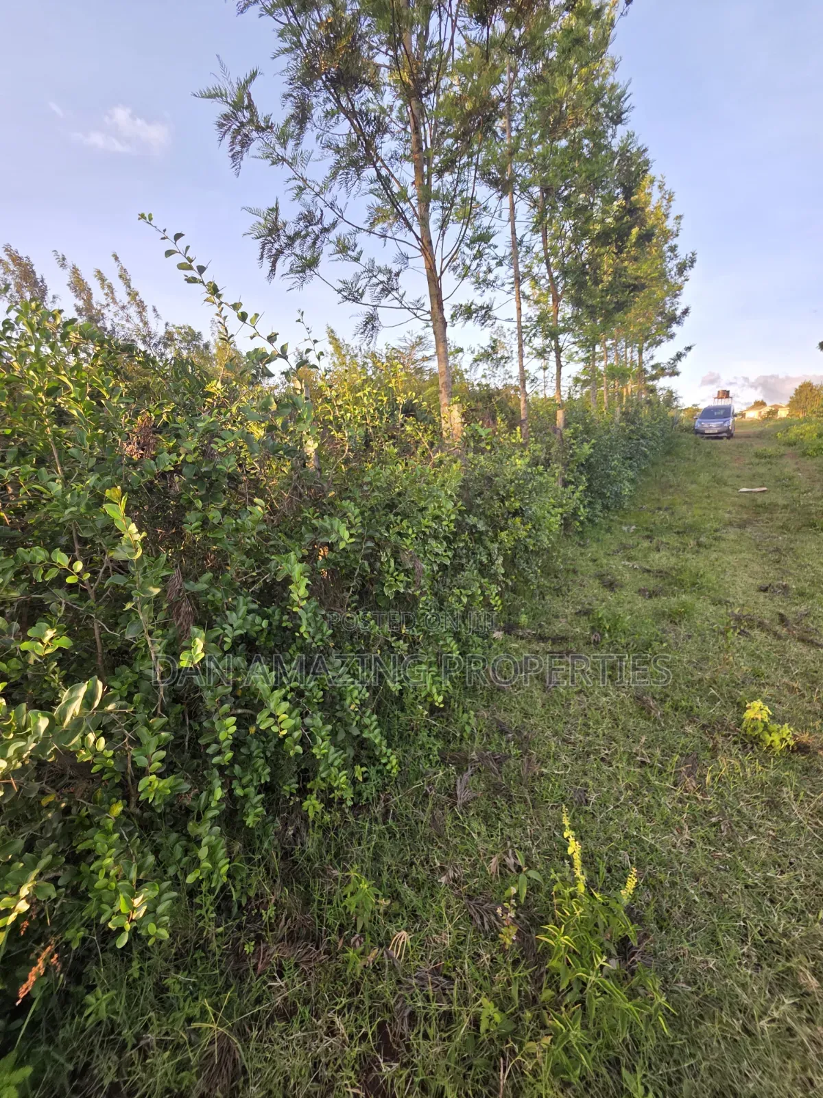1/4 Acre Redsoil Ngong Kibiku With Mature Fruit Trees for Sale I
